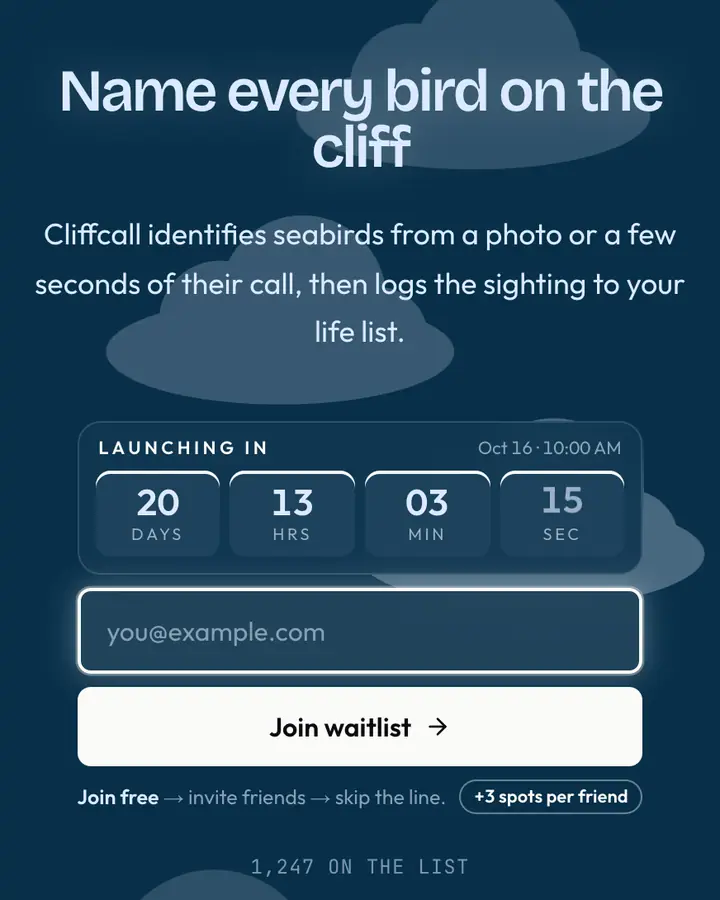 Seabird Cliff — Nature & Organic waitlist page template, deep sky blue background