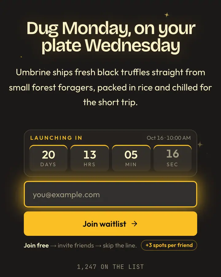 Truffle Black — Luxury waitlist page template, charcoal background